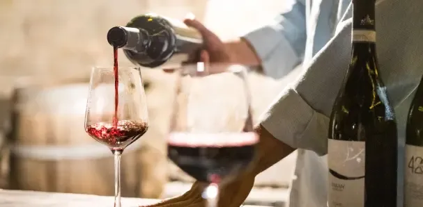 Malena García Arredondo, gastroenteróloga: «El vino puede acompañar magníficamente una comida y formar parte de la experiencia gastronómica, pero eso no significa que acelere la digestión»